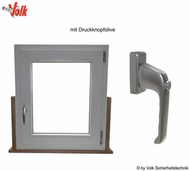 Model Window with Push Button Handle
